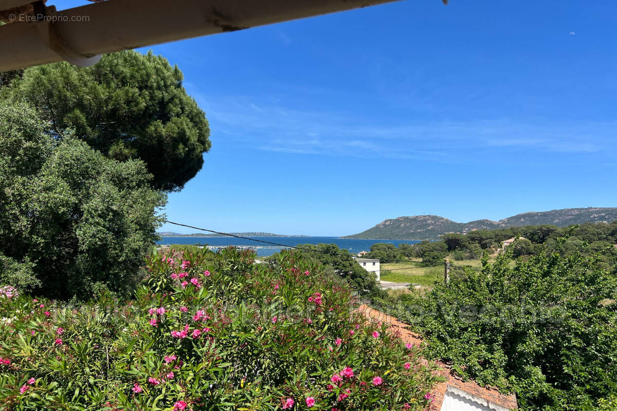 Maison à PORTO-VECCHIO
