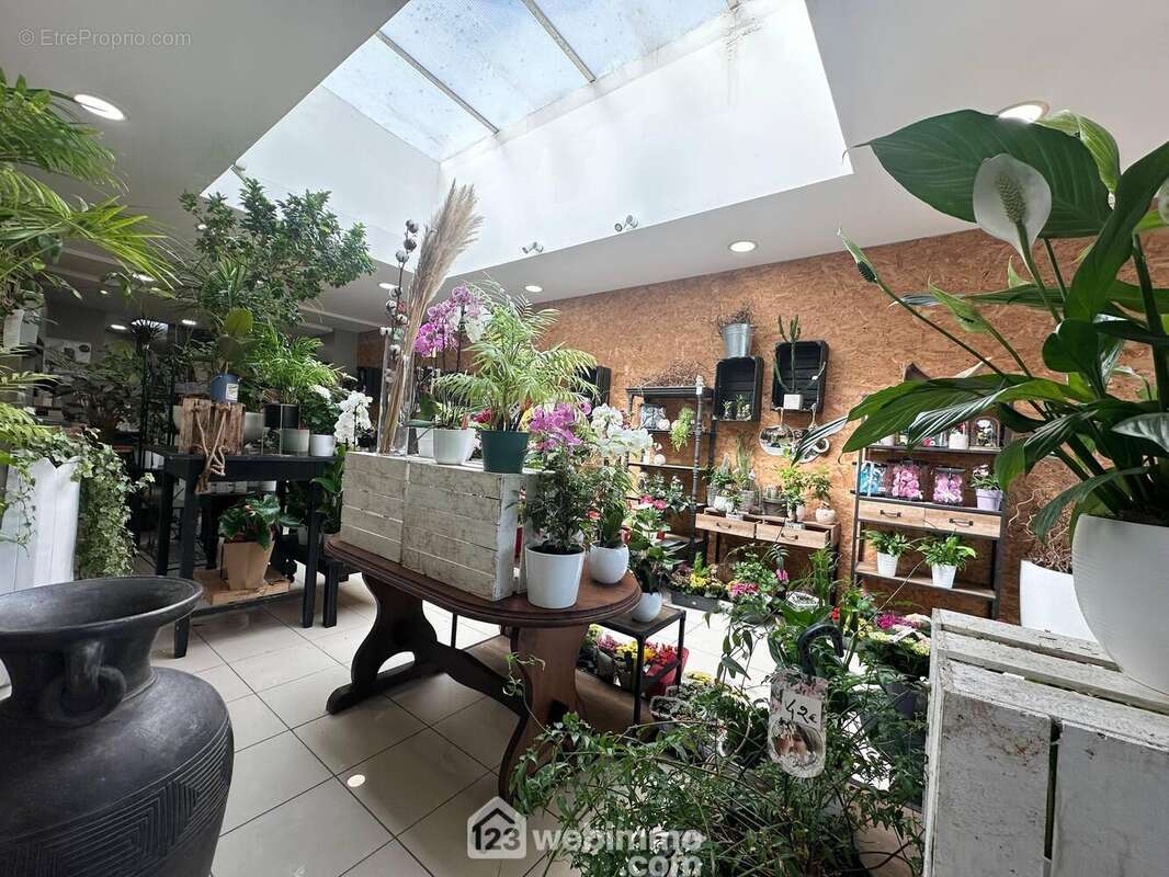 Vous apprécierez le puits de lumière