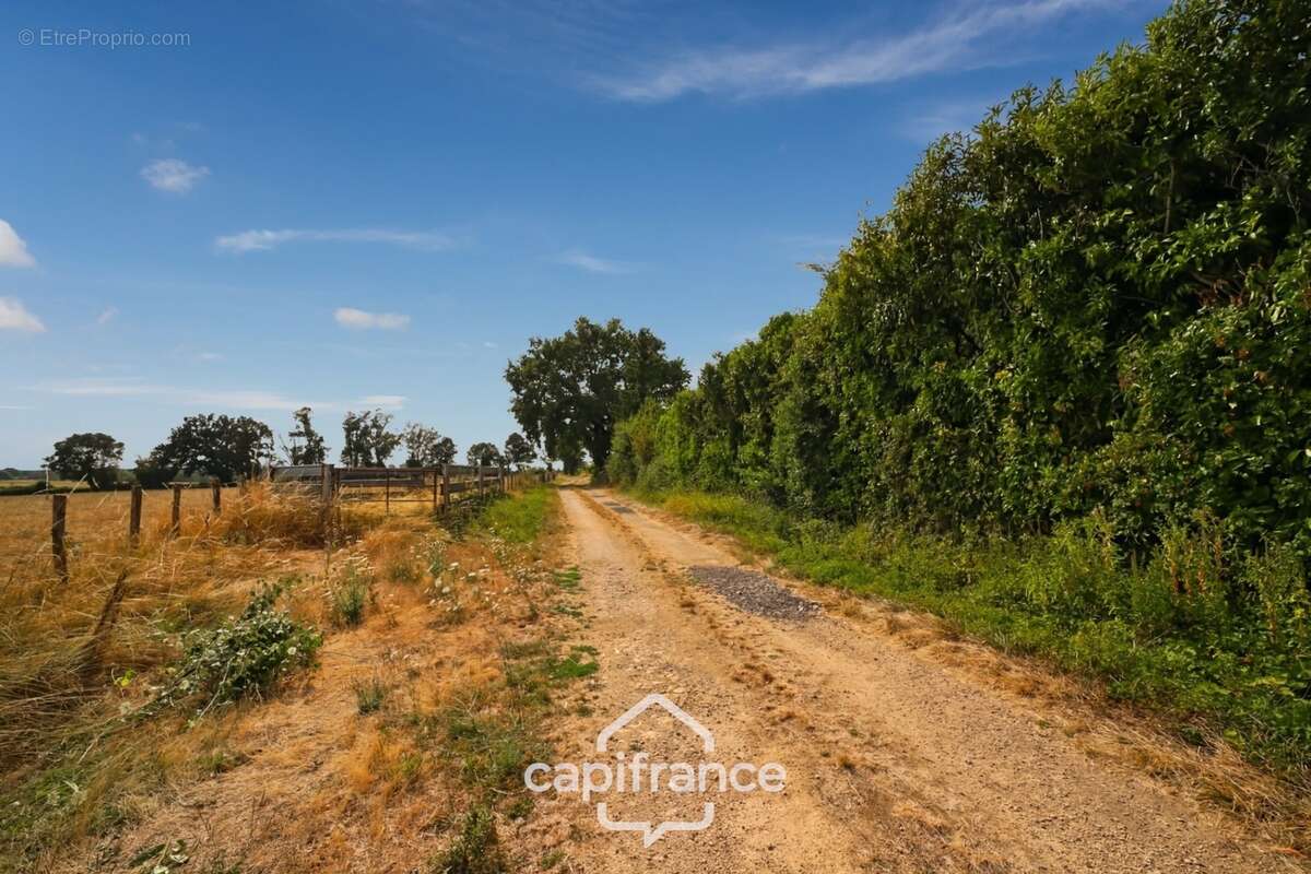 Maison de plain-pied, 3 chambres, véranda, piscine chauffée et jardin paysager – Courlaoux, à 10 min de Lons-le-Saunier (39000) - photo 17