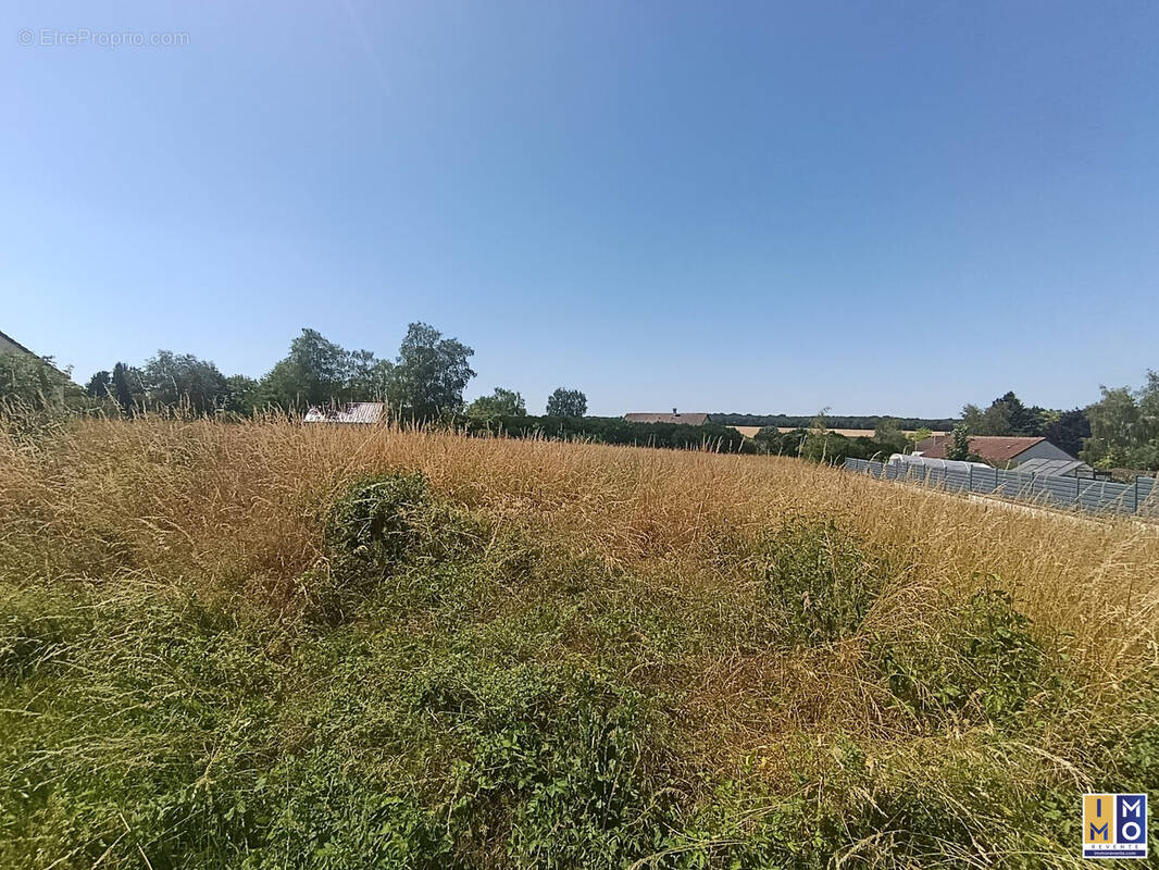 Terrain à FARGES-EN-SEPTAINE