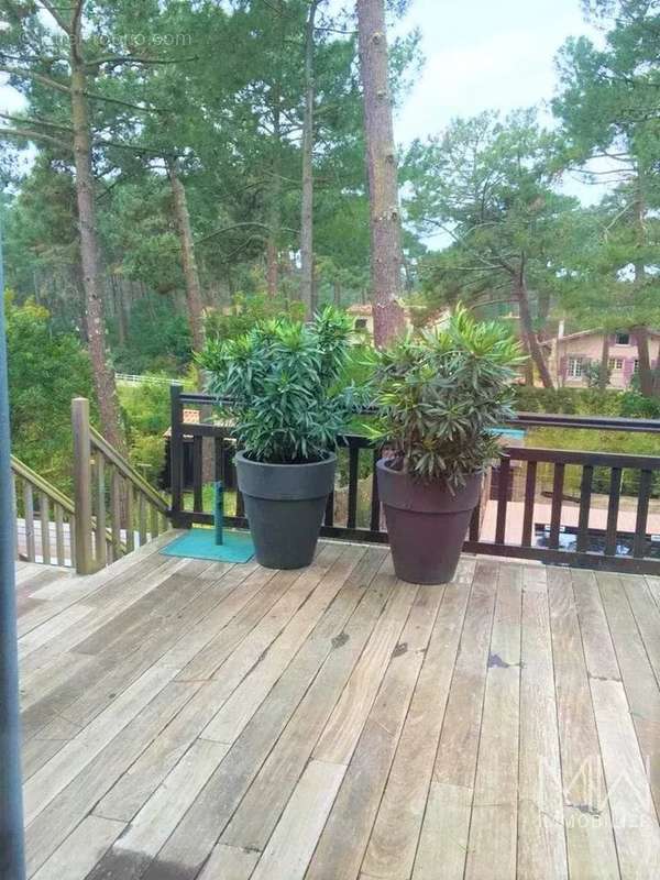 Maison à LEGE-CAP-FERRET