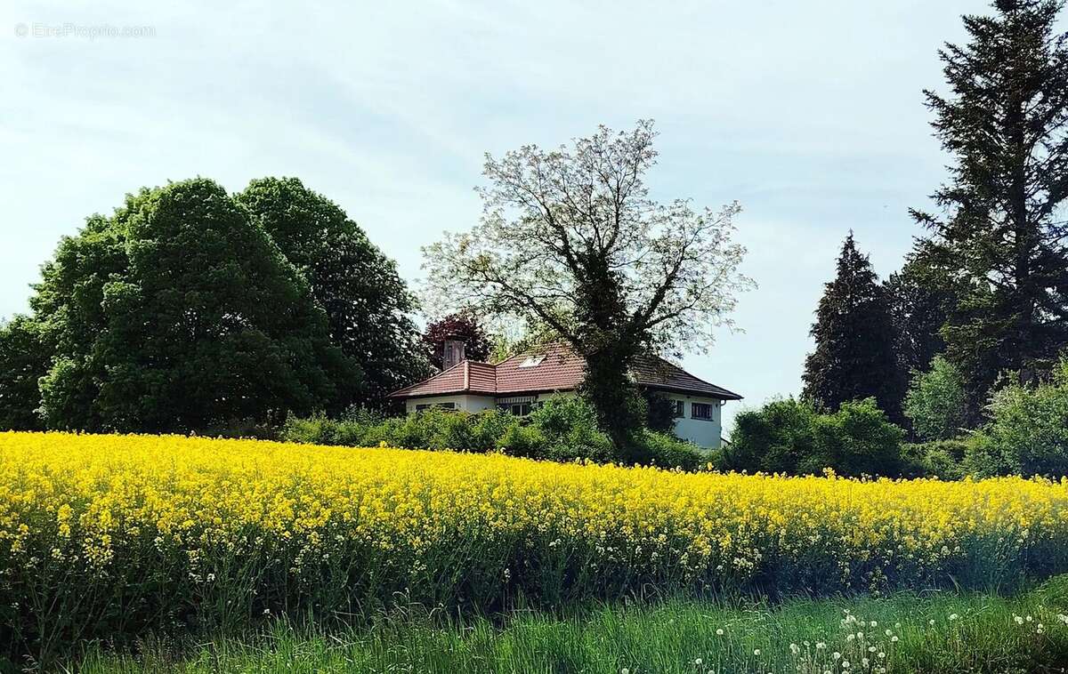 Maison à MONTDORE
