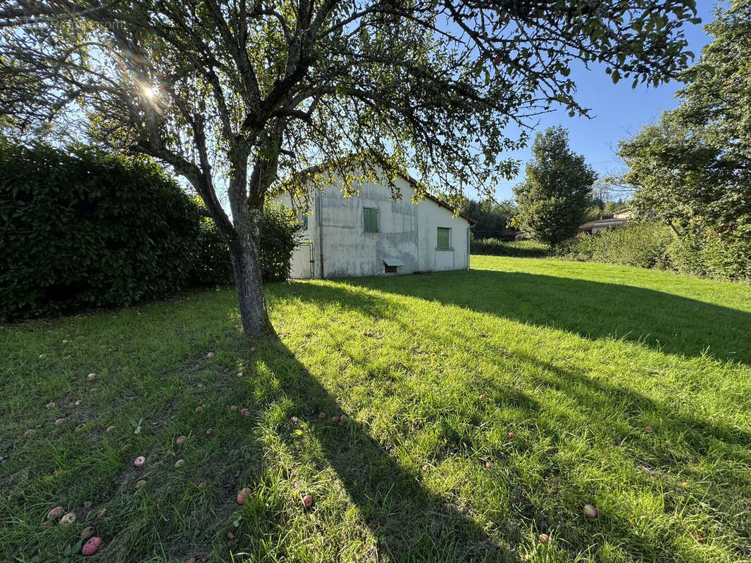 Photo 3 - Maison à LA GRESLE