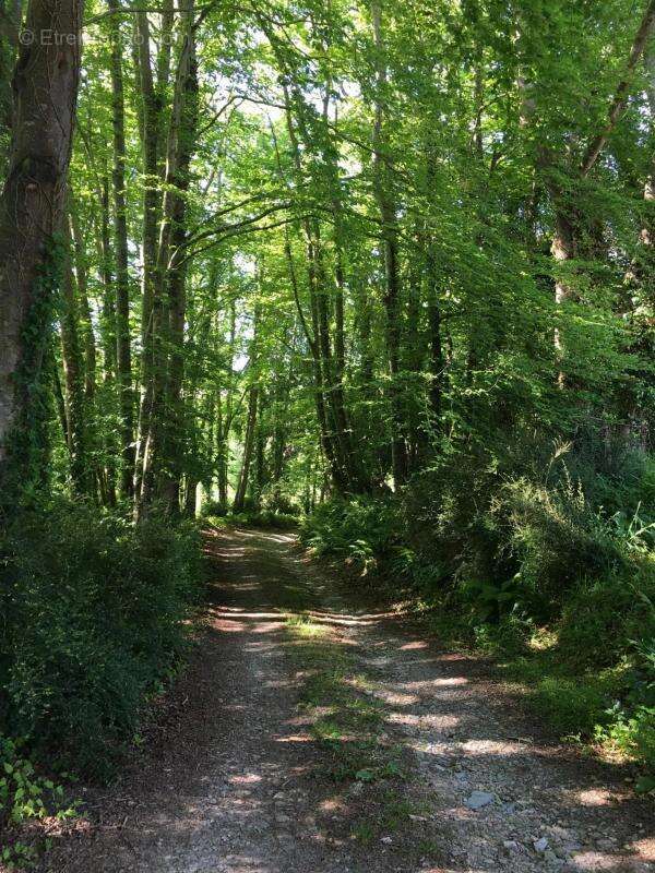 Maison à CHERBOURG-OCTEVILLE