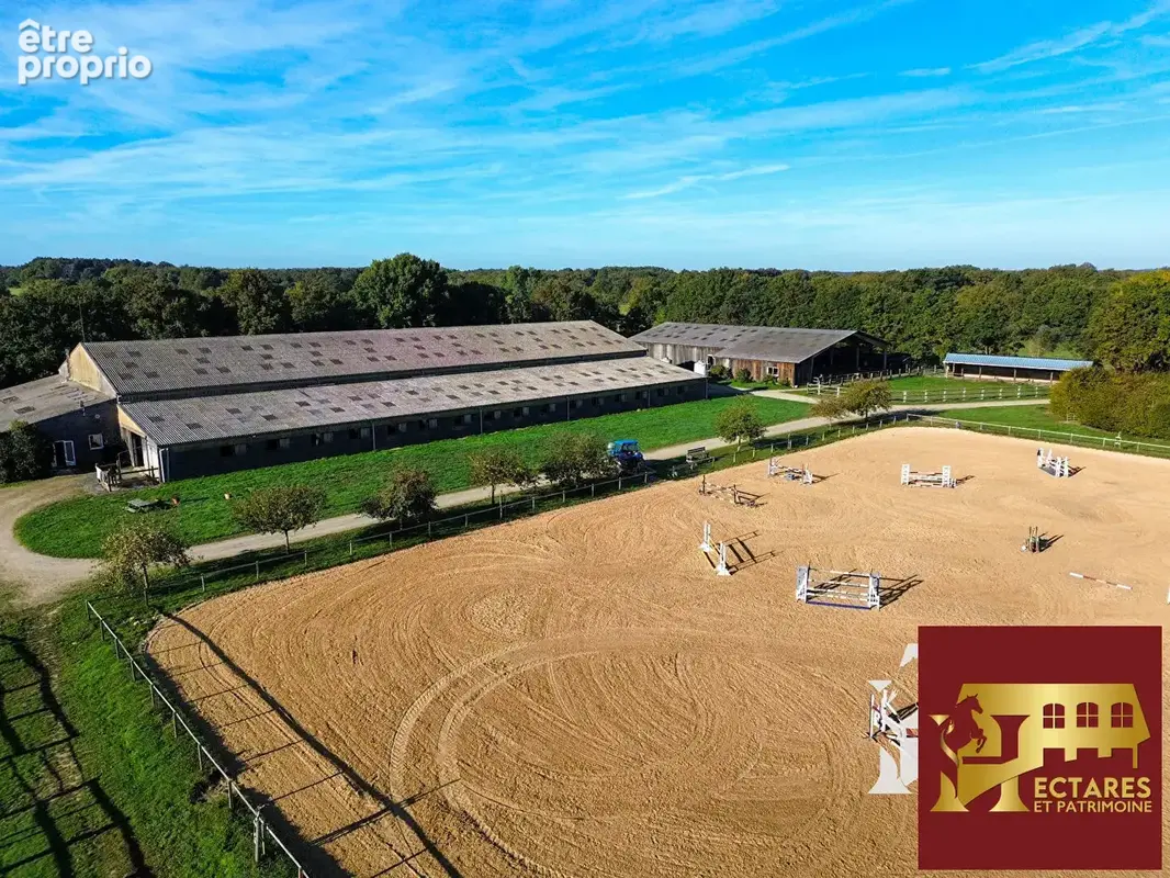 Propriété équestre Blain 10 pièce(s) 15 hectares - photo 9