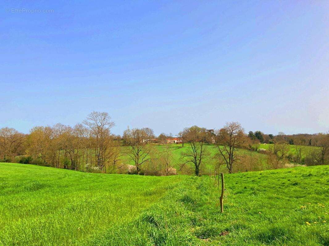 Maison à LES LUCS-SUR-BOULOGNE