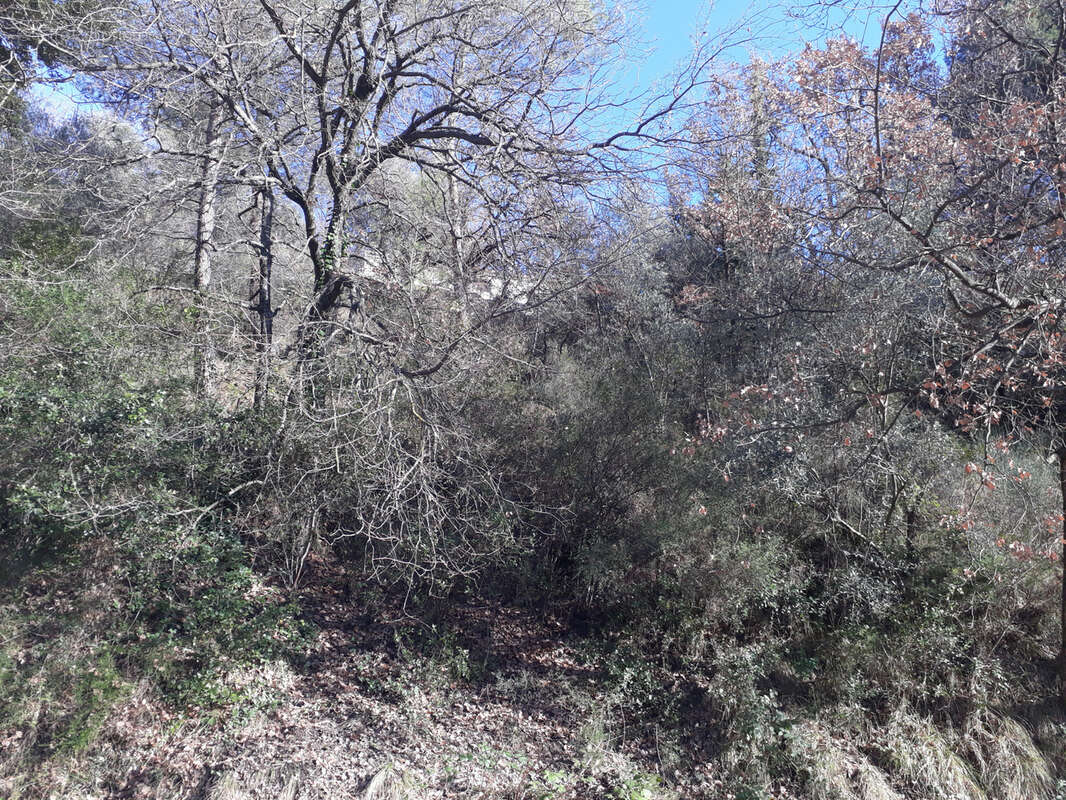 Terrain à L'ESCARENE