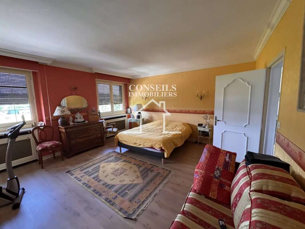 Saint julien du sault - photo 15