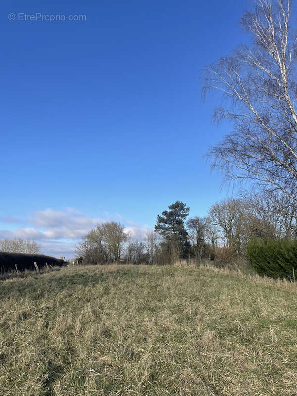 Terrain à BROUSSEY-RAULECOURT