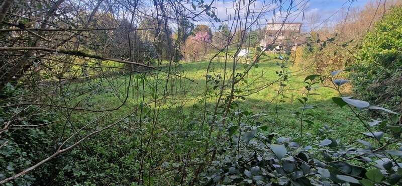 Appartement à CAZAUBON