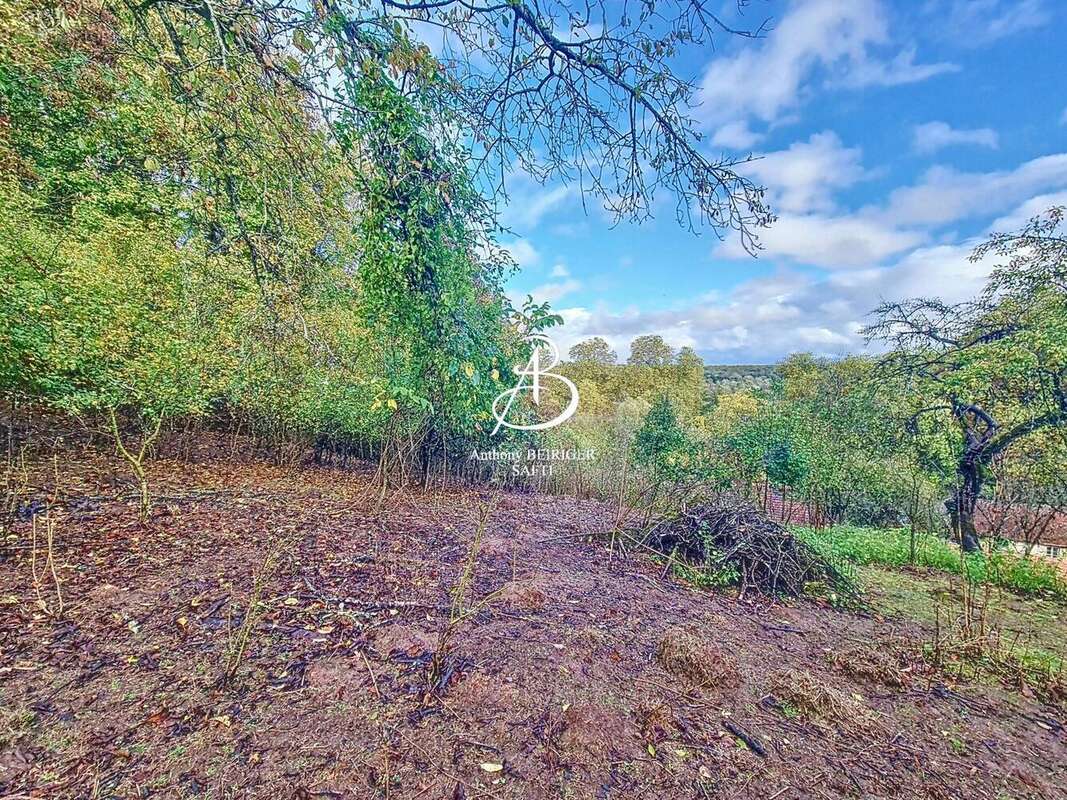 Photo 2 - Maison à BAINVILLE-AUX-MIROIRS