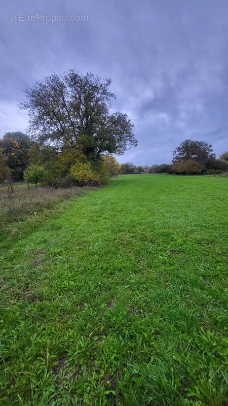 Terrain à NEUVILLE-SUR-ORNAIN
