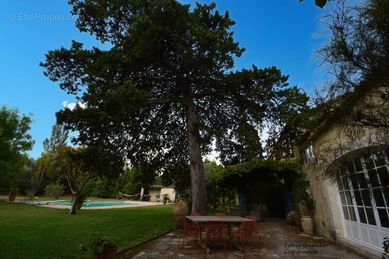 Propriete à vendre 7 pièces RAPHELE LES ARLES (13) 240m² évolutif sur 3300 m² avec piscine - photo 4