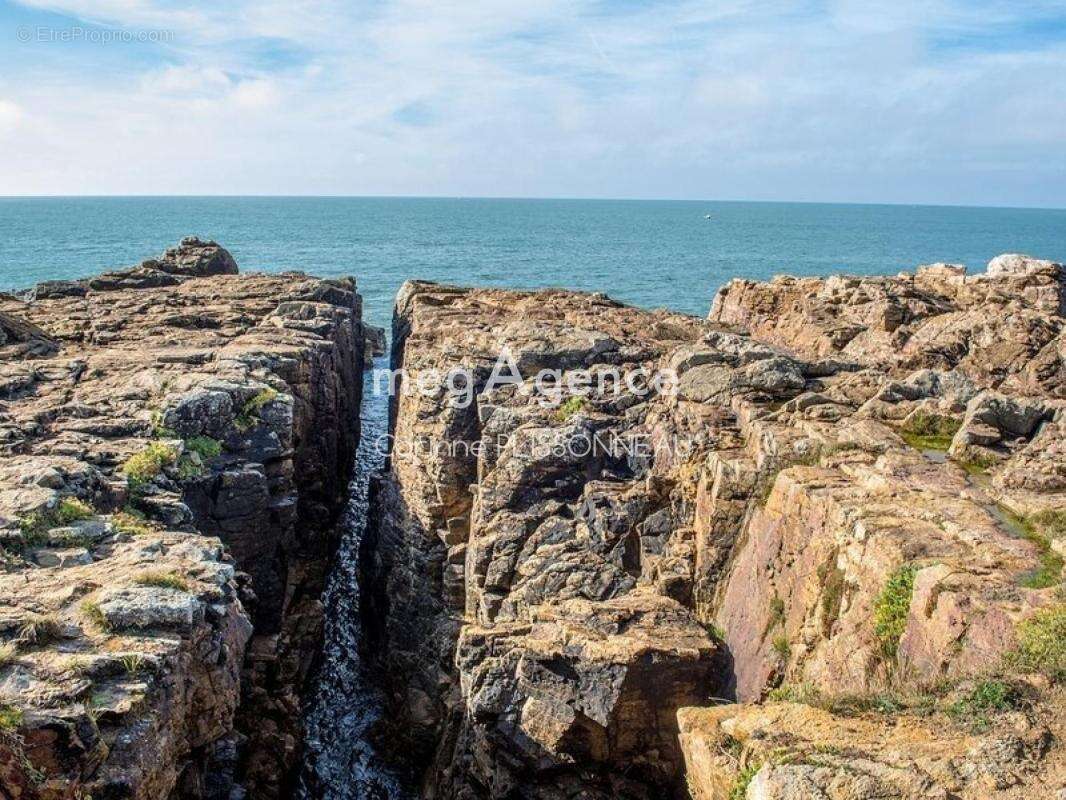 Terrain à LES SABLES-D'OLONNE