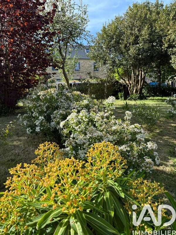 Photo 3 - Maison à CLEDEN-CAP-SIZUN