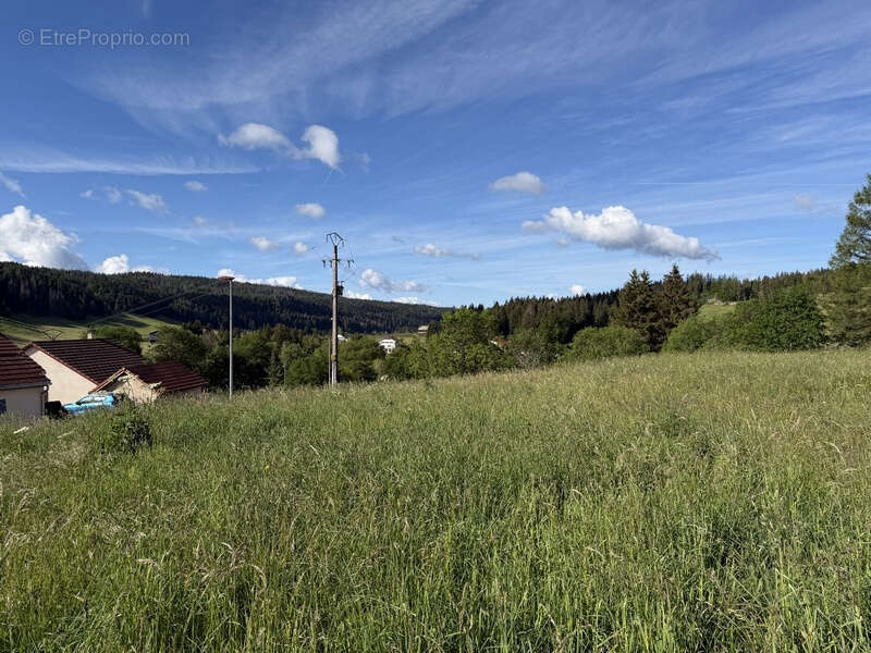 Lamoura , rare terrain constructible de 2 577 m2 - photo 3