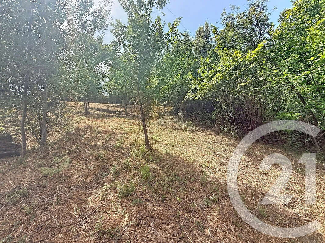 Terrain 2000 m² à San-Nicolao  - photo 8