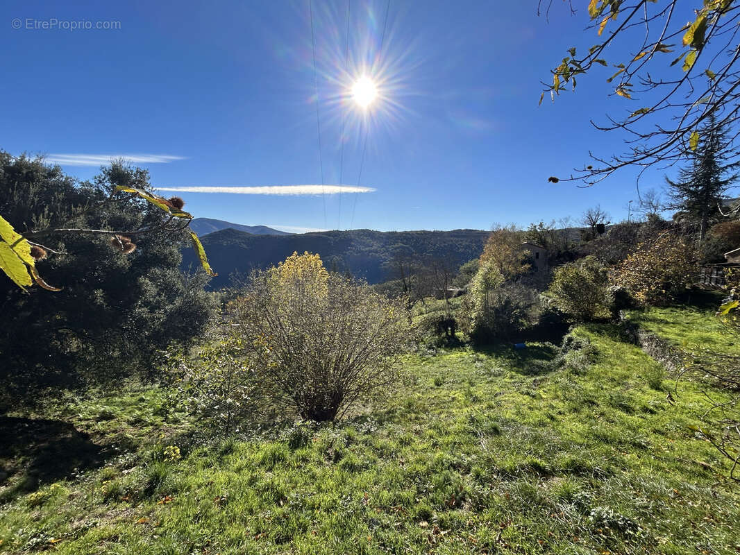 À Corsavy (66), terrain de 1500m2 à acheter - photo 7