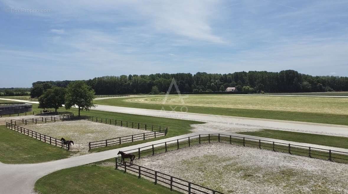 Maison à BOISSY-SAINT-LEGER