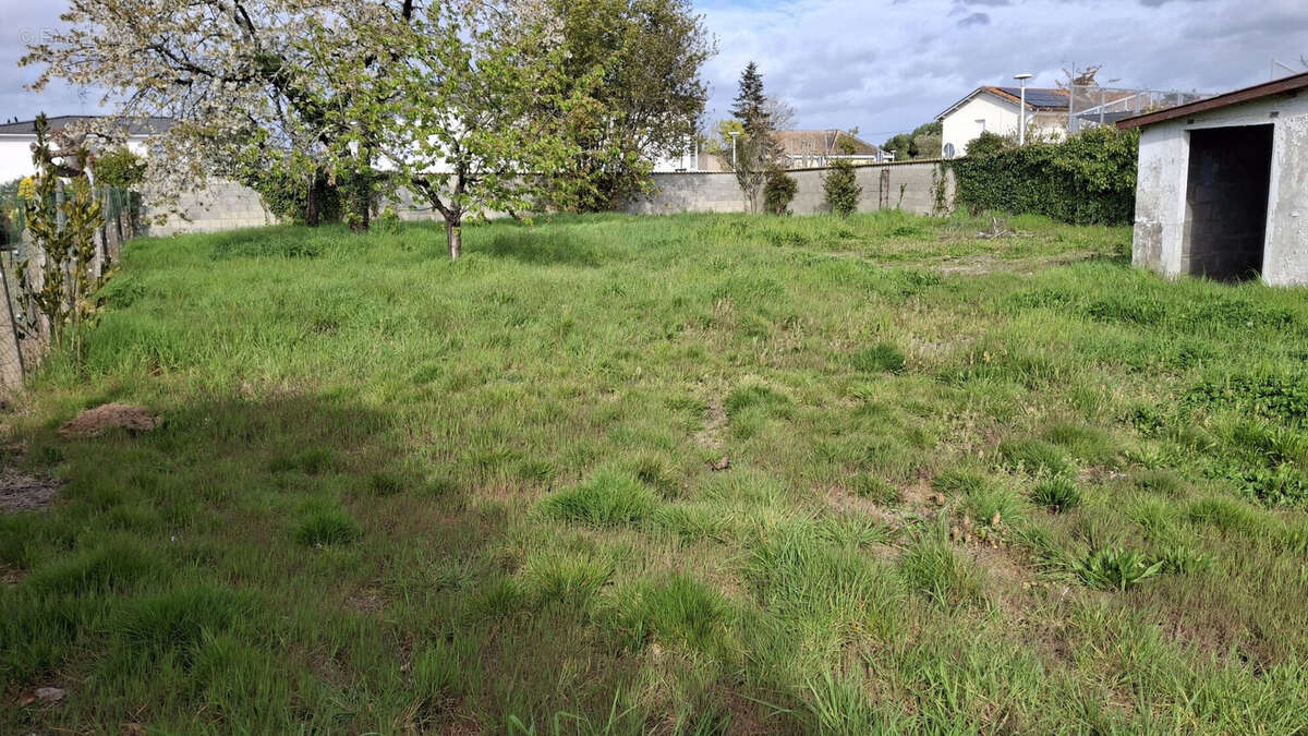 Terrain à AMBARES-ET-LAGRAVE