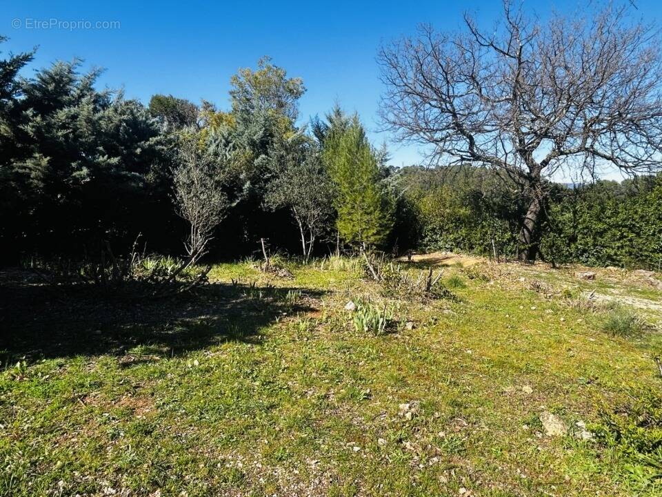 Terrain à LE THORONET
