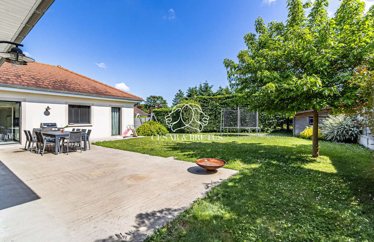 Maison 262 m² à Rillieux-La-Pape  - photo 9