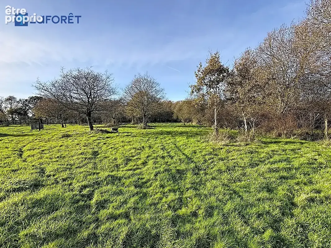 Maison Colpo 3 pièces 39 m2 + 7 hectares de terrain - photo 5