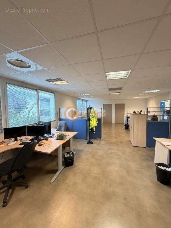 Commerce à MARTILLAC