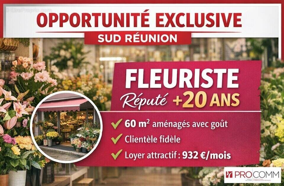 Commerce à SAINT-LOUIS