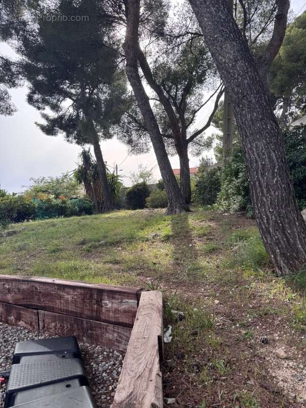 Terrain à SAUSSET-LES-PINS