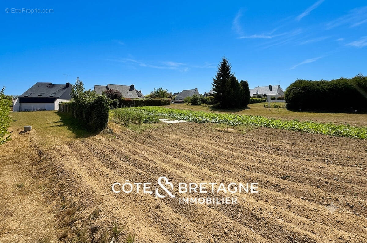 Terrain à LANGUEUX