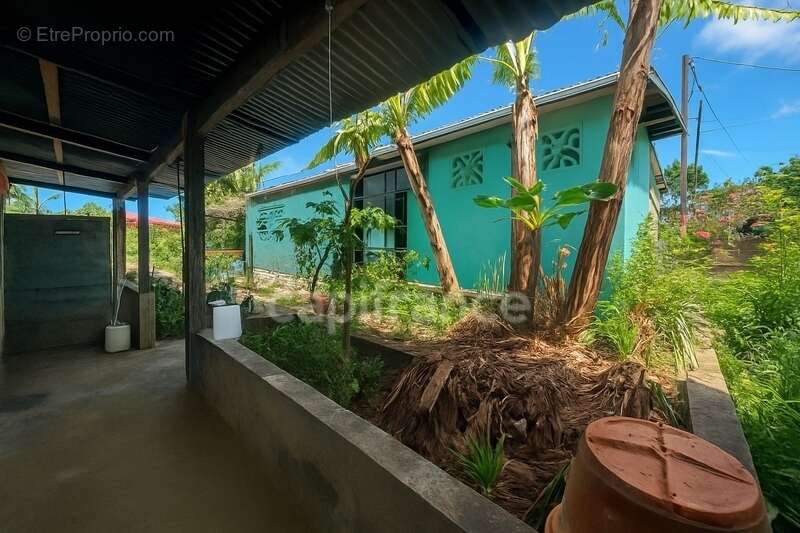 Maison à CAYENNE