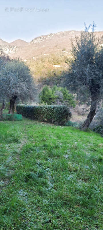 Maison à BREIL-SUR-ROYA