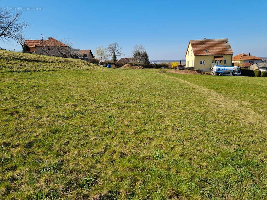 Terrain à PHALSBOURG