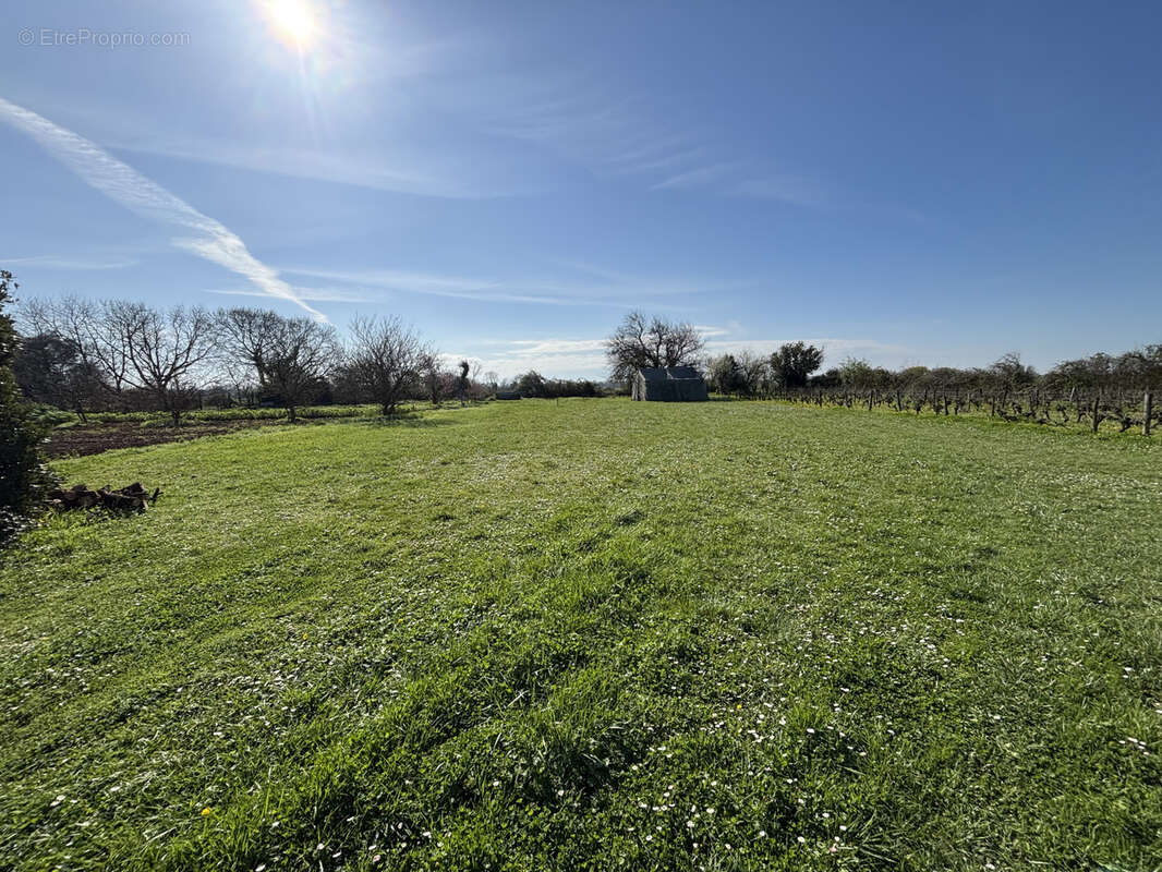 Maison à AIGREFEUILLE-D'AUNIS