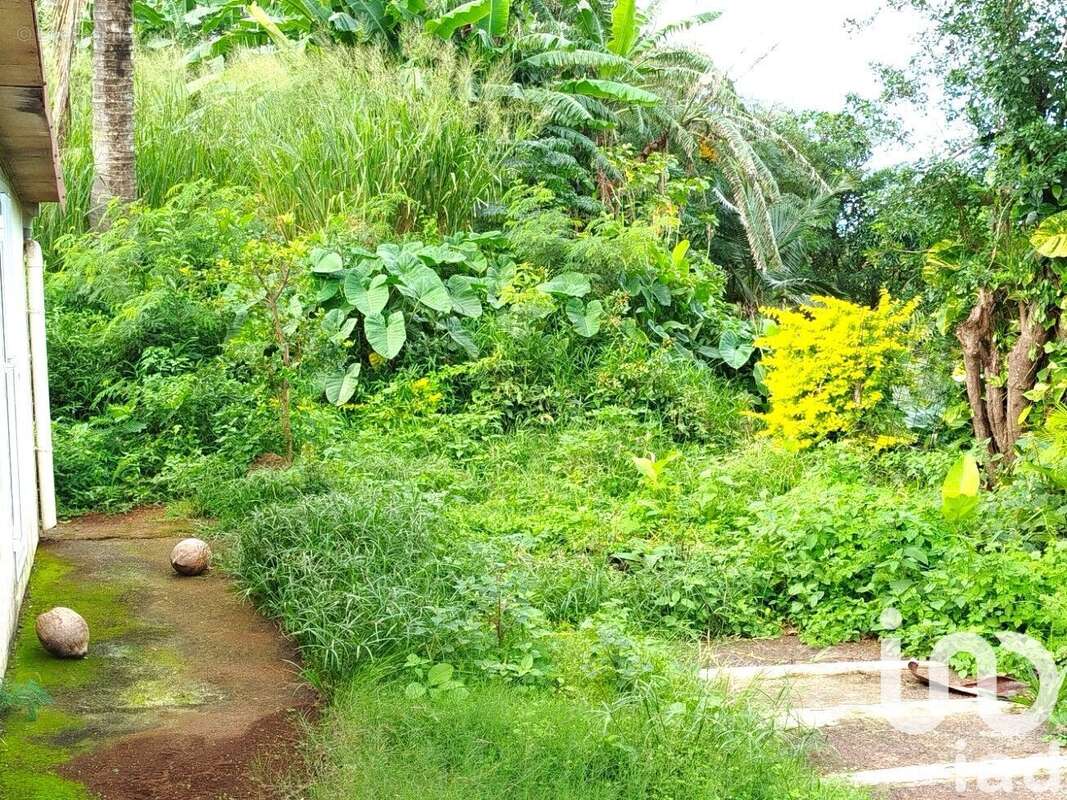 Photo 7 - Maison à SAINT-JOSEPH