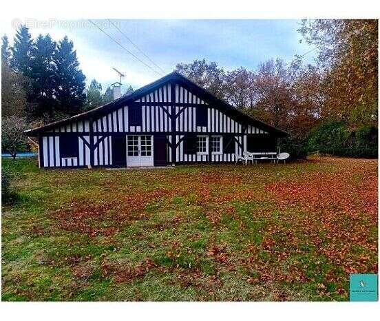 Photo 2 - Maison à MONTFORT