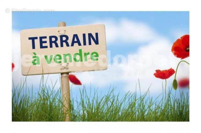 PHOTO TERRAIN - Terrain à CREVECOEUR-LE-GRAND