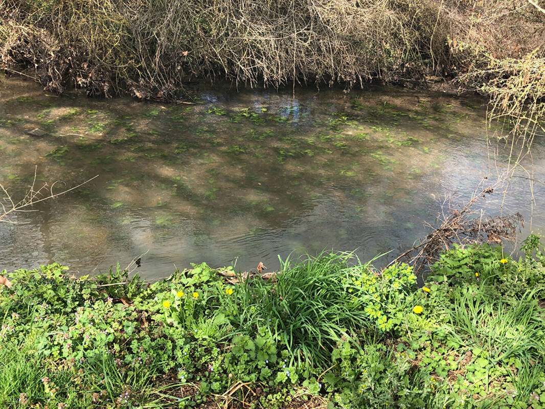 Terrain à LHOMMAIZE