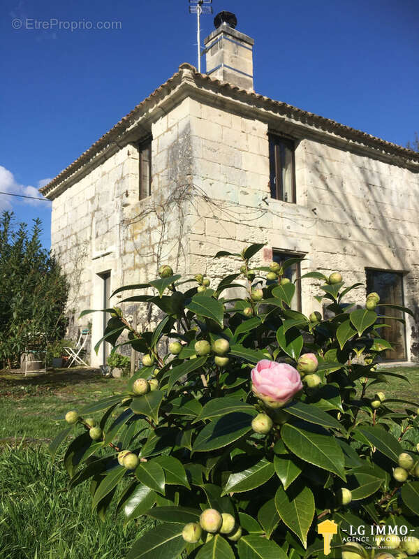 Maison à SAINT-FORT-SUR-GIRONDE