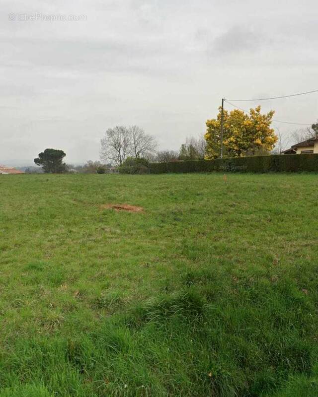 Terrain à ALBI