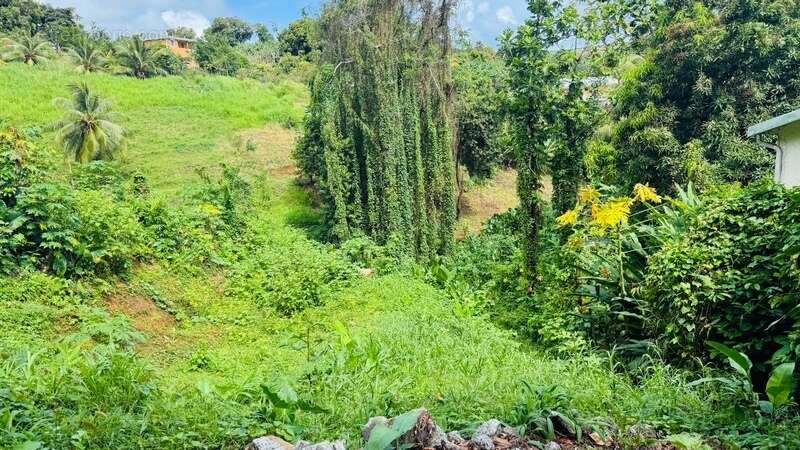 Terrain à SAINTE-MARIE