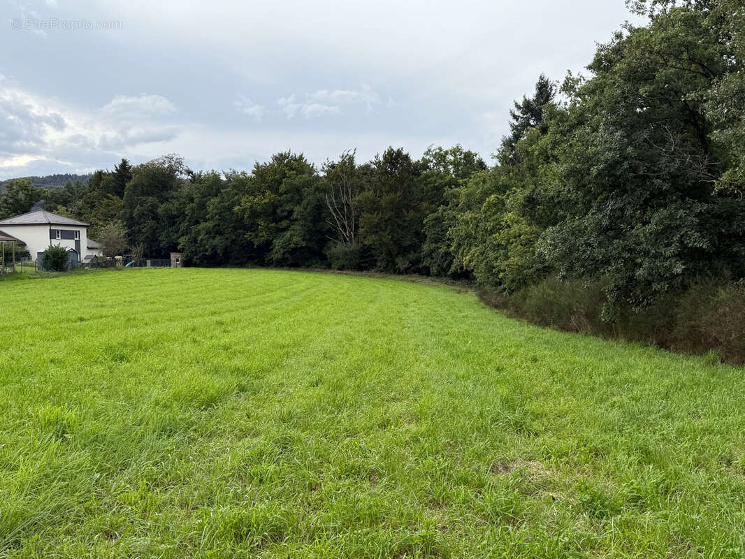 Terrain à SAINT-ETIENNE-LES-REMIREMONT