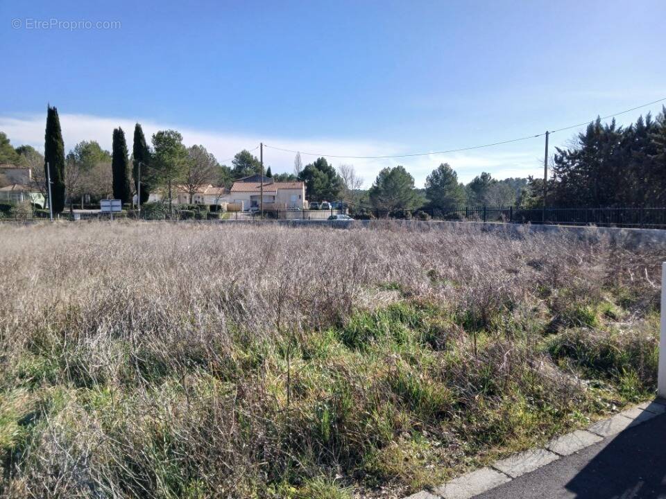 Terrain à LE TRIADOU