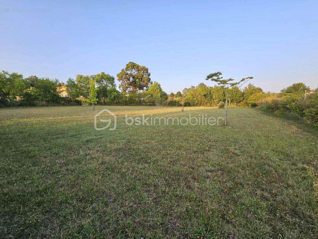 Terrain à SAINT-PUY