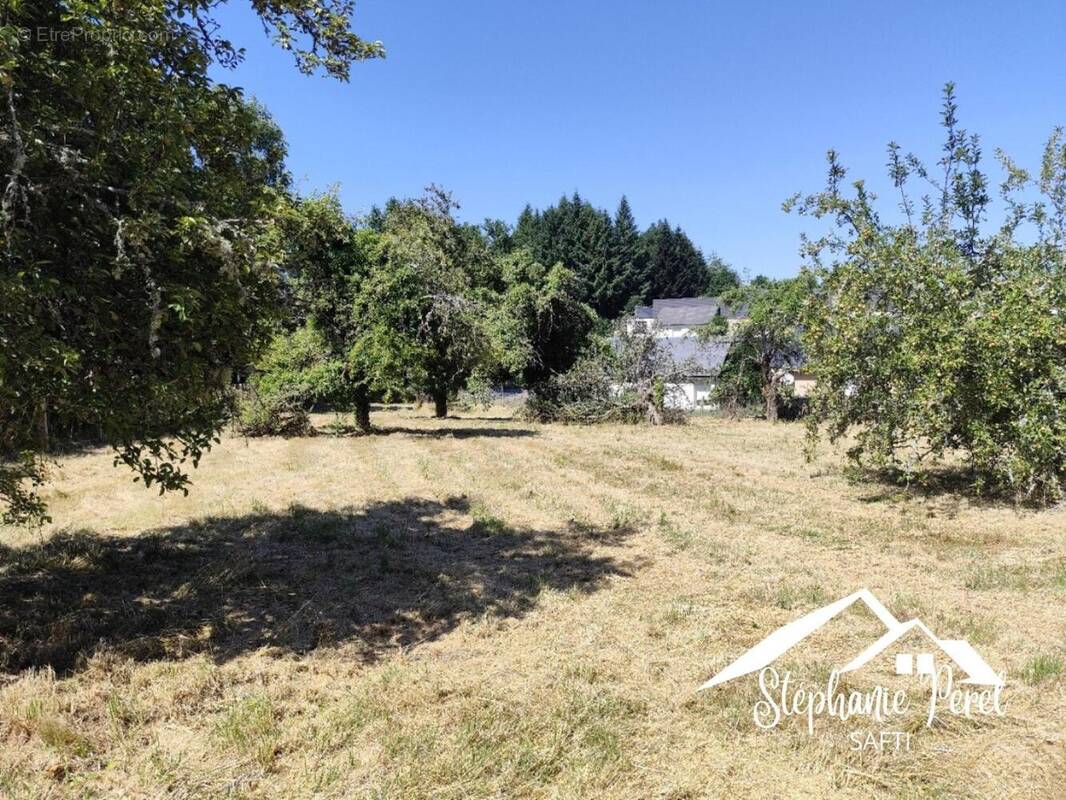 Photo 1 - Terrain à EGLETONS
