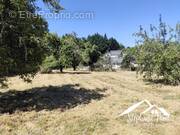 Photo 1 - Terrain à EGLETONS