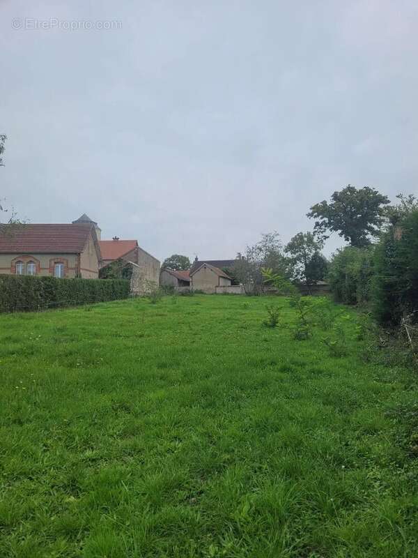 Terrain à LE THEIL