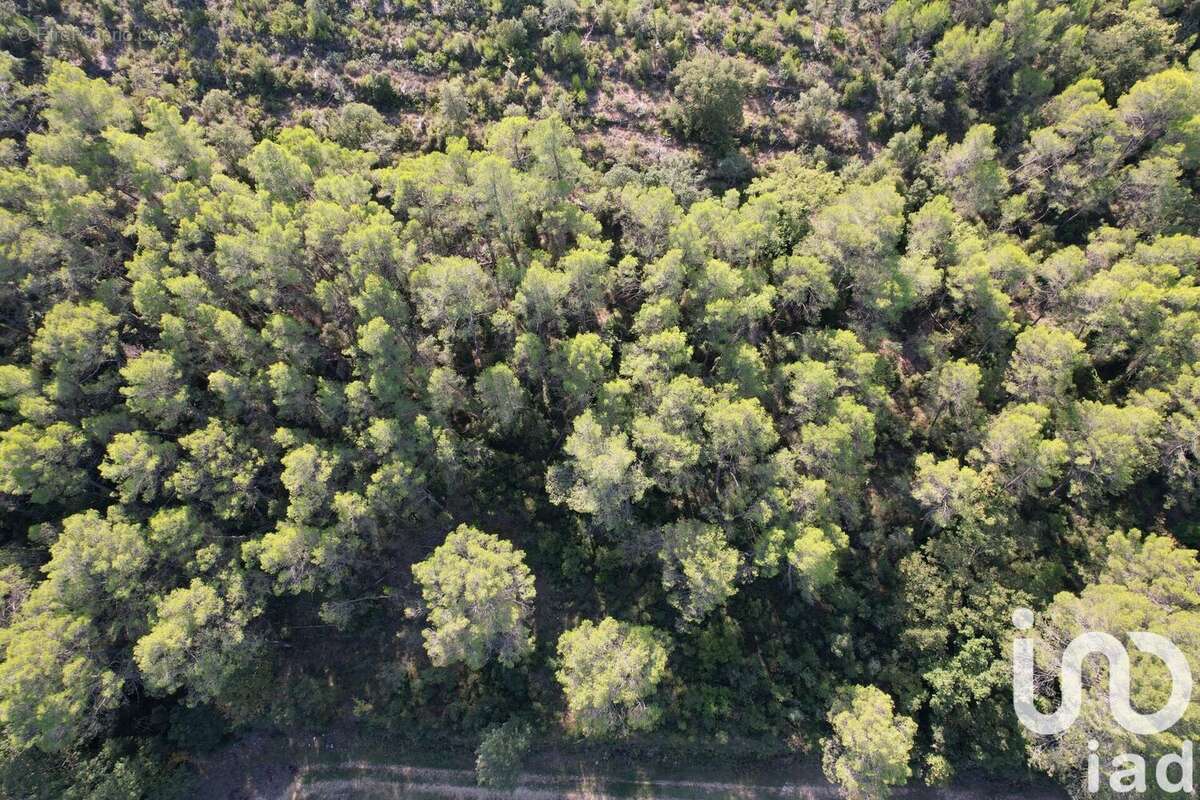 Photo 4 - Terrain à LORGUES