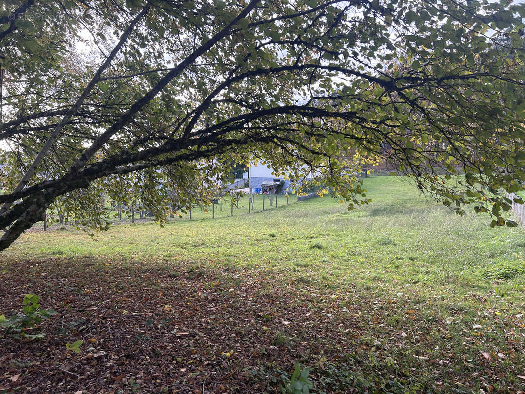 Terrain à SAINT-PRIVAT